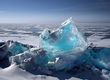 开云官网：连接美学与信任的入口