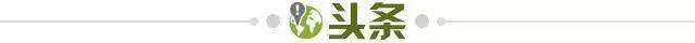 jiuyou账号注册-【早报】前锋如酒：苏牙、哲科、老虎们依旧醇香...